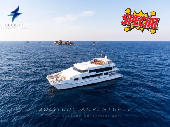 【特別優惠】科莫多 Solitude Adventurer 8D7N 住宿船潛 (CX)